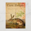 Suche nach hase postkarten Kaninchen