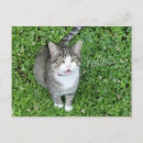 Suche nach irisches sprichwort postkarten Für alle