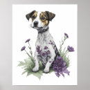 Suche nach jack russell terrier poster Kaninchen