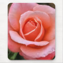 Suche nach romantische rosen mousepads Natur