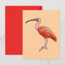 Suche nach ibises postkarten Natur