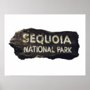 Suche nach sequoia poster Redwood
