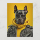 Suche nach great dane postkarten Welpe