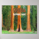 Suche nach sequoia poster Reise