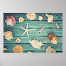 Suche nach seashells poster Nautisch