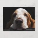 Suche nach tiernase postkarten Hund