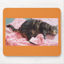 Suche nach schneiden sie mousepads Nähen