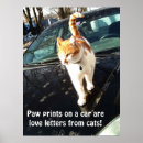 Suche nach cate poster Kitty