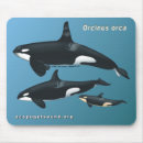 Suche nach mörder mousepads Wal