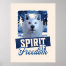 Suche nach arktisch poster Arktischer wolf