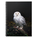 Suche nach vögel kleine notizbücher Für alle