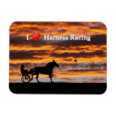 Suche nach rennpferd magnete Für alle