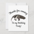 Suche nach anteater Regenwälder