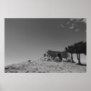 Suche nach schloss poster Berge