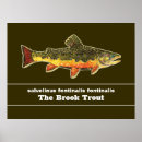 Suche nach bachforelle poster Fische