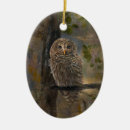 Suche nach schleiereulen ornamente Vögel
