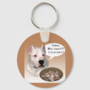 Suche nach argentino Dogo argentino