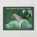 Suche nach thrasher postkarten Vogelbeobachtung