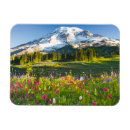 Suche nach schneeberg magnete Blume