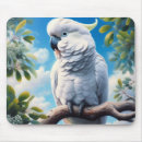 Suche nach kakadu mousepads Tier