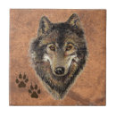 Suche nach wölfe fliesen Wild lebende tiere