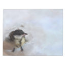 Suche nach vogel notizblock Wildtiere