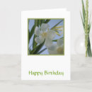 Suche nach oleander karten Blume