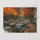 Suche nach orangenbäume postkarten Für alle