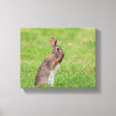 Suche nach easter leinwandbilder Hase