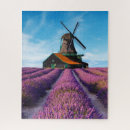 Suche nach lavendel puzzle Jede person