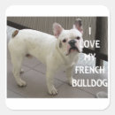 Suche nach bulldog aufkleber Tier