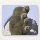 Suche nach zwerge mousepads Zusammengehörigkeit