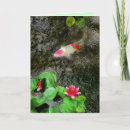 Suche nach carp karten Pond