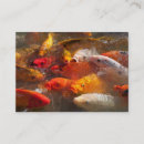 Suche nach karpfen visitenkarten Teich