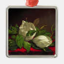 Suche nach magnolie ornamente 19