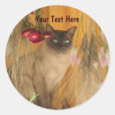 Suche nach small cat aufkleber Für alle