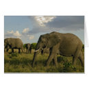 Suche nach loxodonta postkarten Adam jones