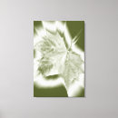 Suche nach grüntöne leinwandbilder Weiß