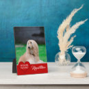 Suche nach hunde fotoplatten Jede person