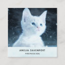 Suche nach kätzchen visitenkarten Katze