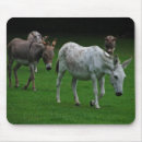 Suche nach maultier mousepads Tiere