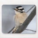 Suche nach flaumig mousepads Vögel