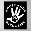 Suche nach tierrettung poster Adoption