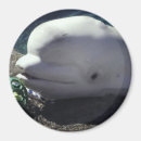 Suche nach zootiere magnete Jede person