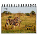 Suche nach wildes tier kalender Fotografie