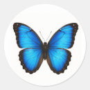 Suche nach morpho aufkleber Natur