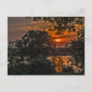 Suche nach orange horizontale postkarten Bäume