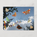 Suche nach butterfliege andere Jede person