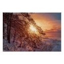 Suche nach kiefern poster Sonnenuntergang