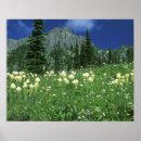 Suche nach roben poster Blume